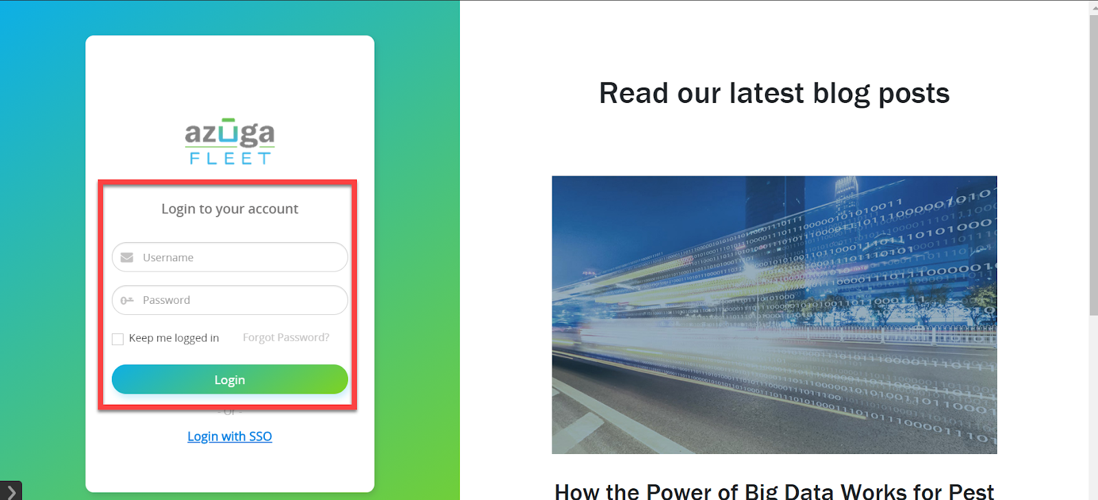 How to set up your web account? Helpful Info