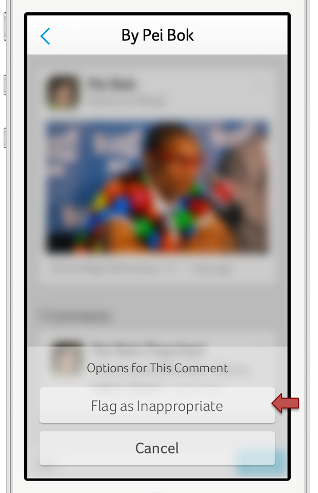 Flag an Inappropriate Post or Comment Helpdesk