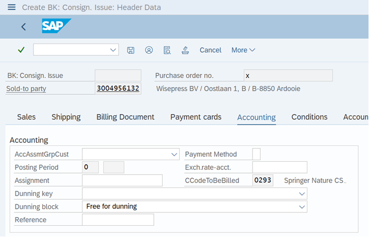 a screenshot of Accounting tab