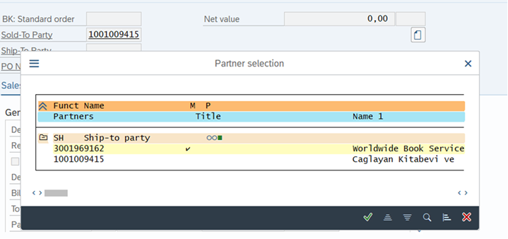 a screenshot of "Sold-to-Party" and "Ship-to-Party"