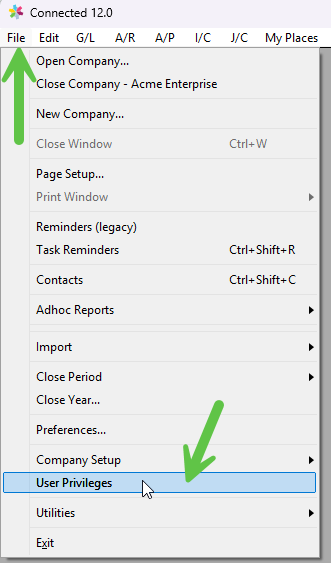 File menu showing the User Privileges option