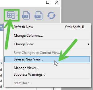 Save as New View menu option