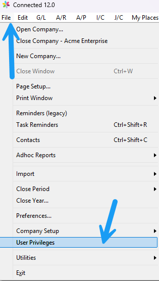 File menu with the User Privileges option