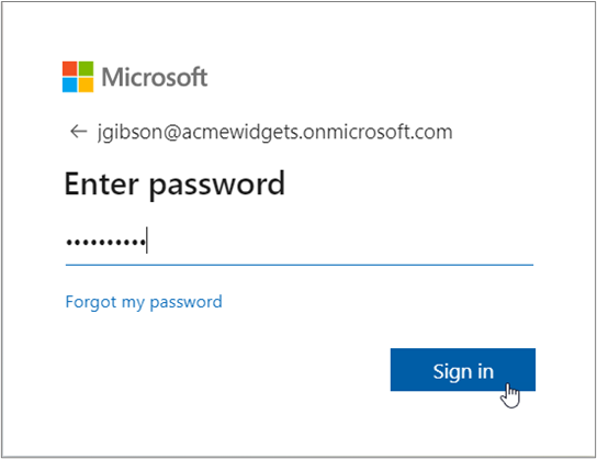 Microsoft Sign in window with password and sign in button