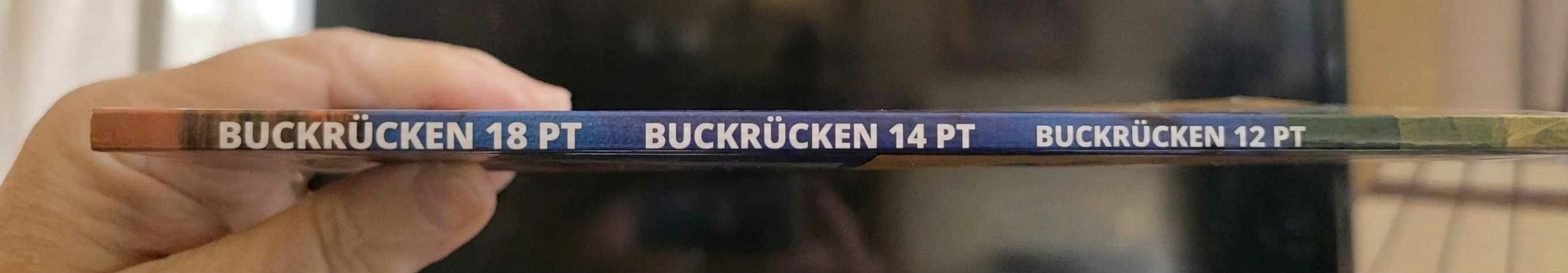 Eine Nahaufnahme eines dünnen Buchrückens, der in der Hand gehalten wird; zu sehen ist der aufgedruckte Text, dessen Schriftgröße von 18 pt bis auf 12 pt abnimmt.