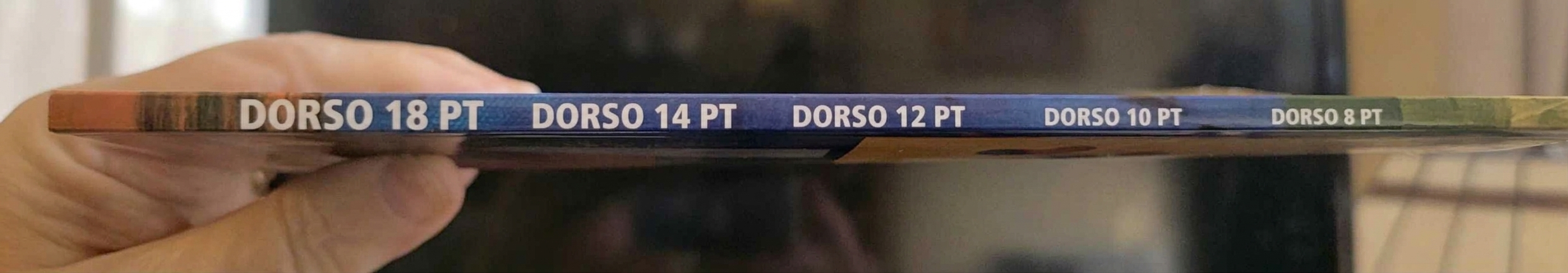Una ripresa ravvicinata del dorso sottile di un libro tenuto in mano, che mostra il testo stampato con dimensioni del carattere decrescenti, da 18 pt a 8 pt.