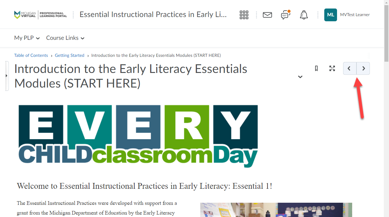 Essential Early Literacy Courses Michigan Virtual Support