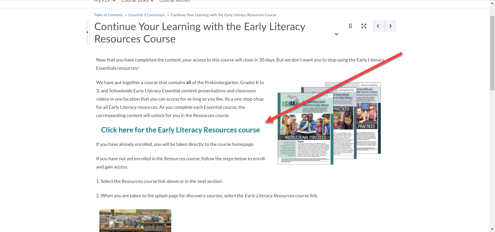 Essential Early Literacy Courses Michigan Virtual Support