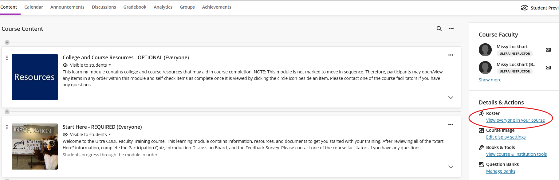 A screenshot of a Blackboard course with the course roster option circled.