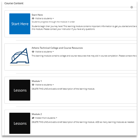 Screenshot showing Blackboard Ultra Template