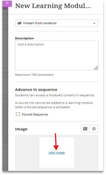 Screenshot showing how to add image in the Blackboard Ultra Template