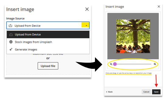 Screenshot showing how to upload and adjust an image in the Blackboard Ultra Template