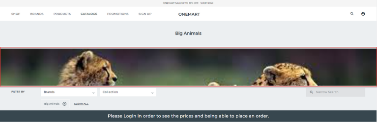 A screenshot of a computer

Description automatically generated with low confidence