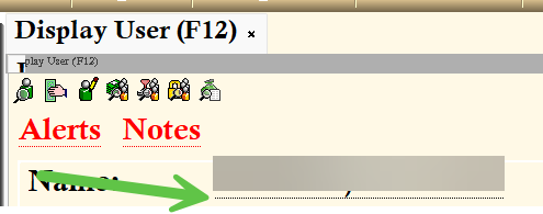 Screenshot of a patron record in WorkFlows highlighting the glossary icon and the dots under the patron name.