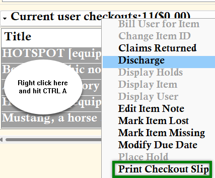 List of items checked out to the missing user with the print slip option