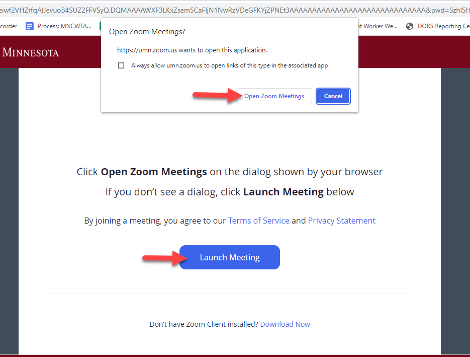Open Zoom Meetings and Launch Meeting buttons