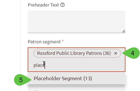 Example of patron segment and placeholder segment.