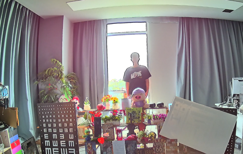 Image 4
