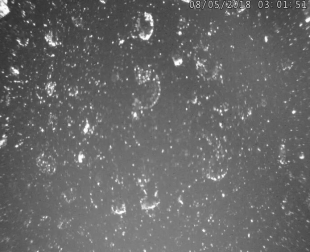 Image 26