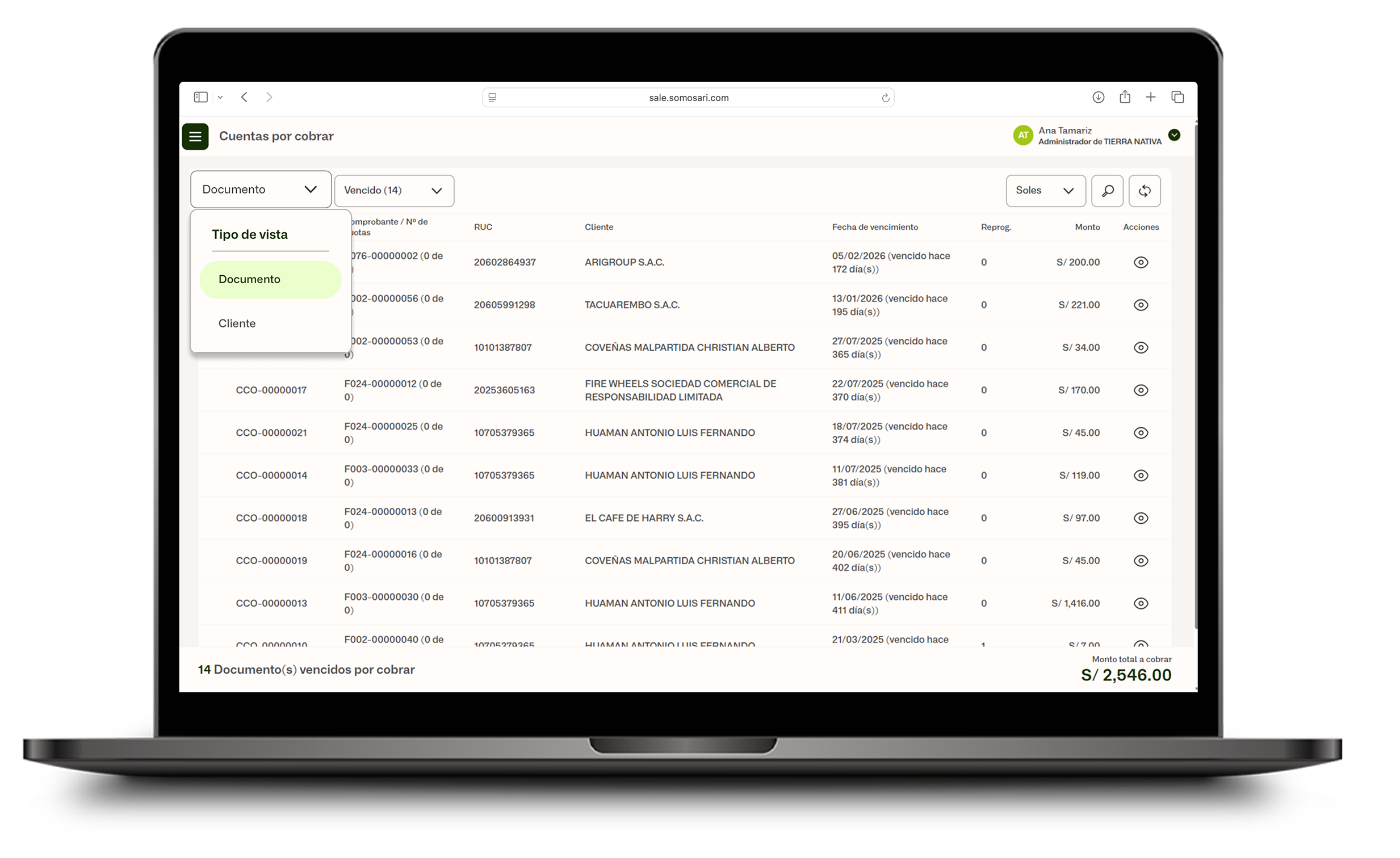 Selector de Tipo de vista: Documento o Cliente