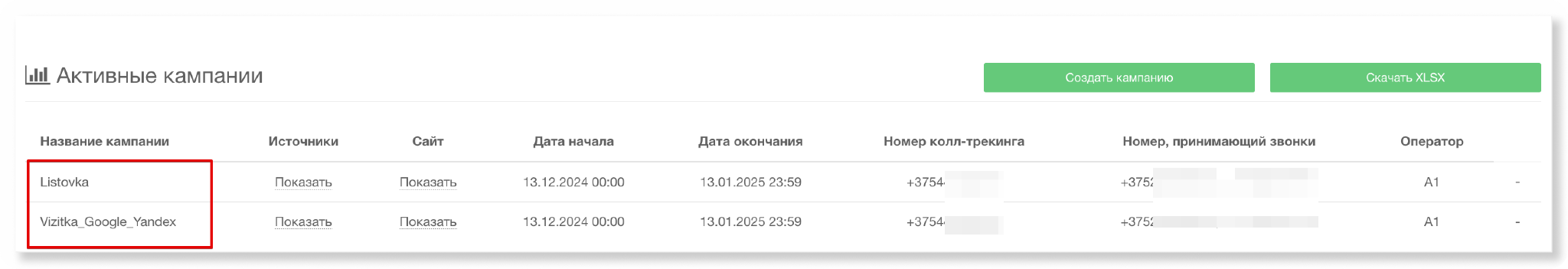 Раздел «Активные кампании» в личном кабинете Call-tracking.by: названия кампаний указаны латиницей