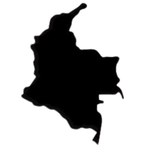 category image