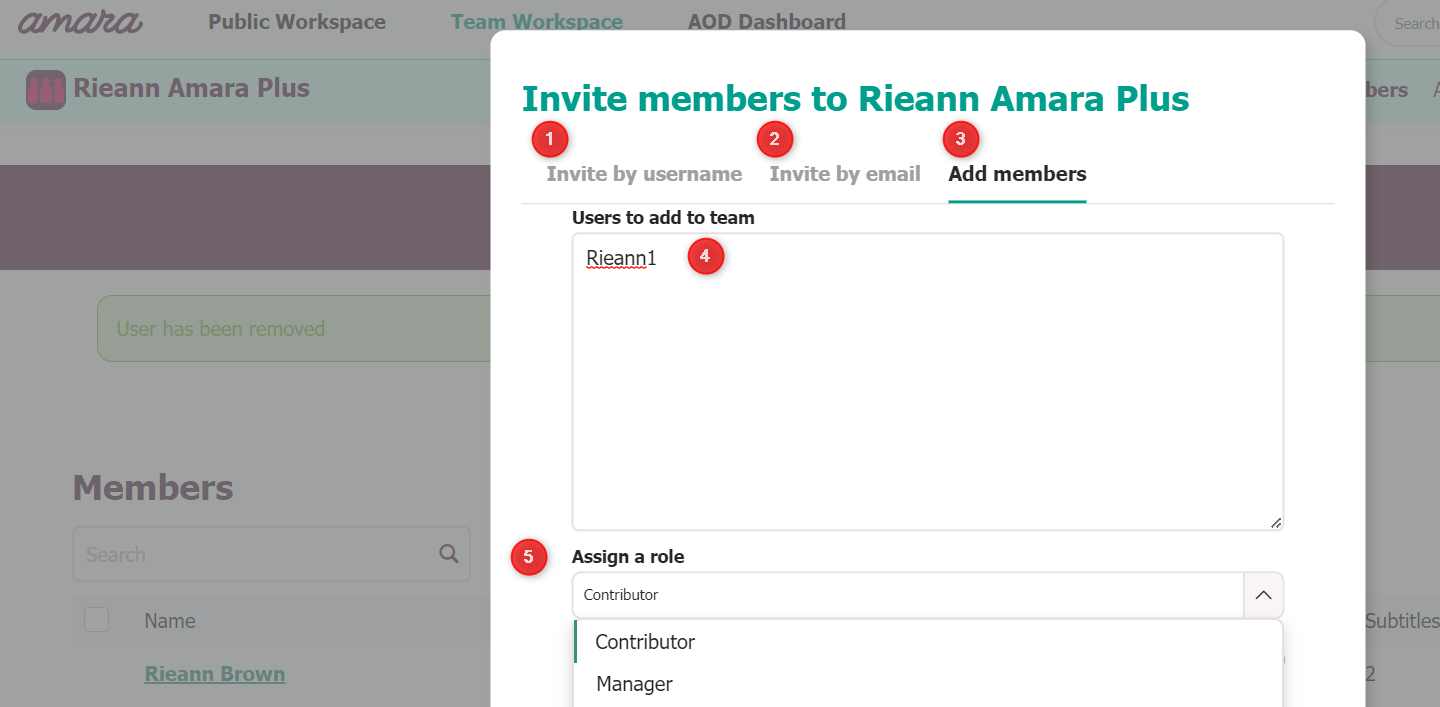 Invite members to the Amara Plus team popup window with dropdown to select role for each member.