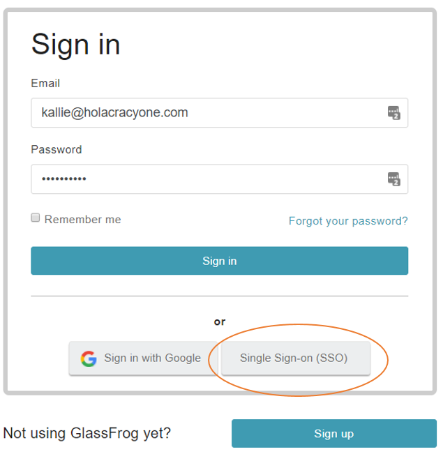 How do I log in using Single Sign-On? (Premium ...