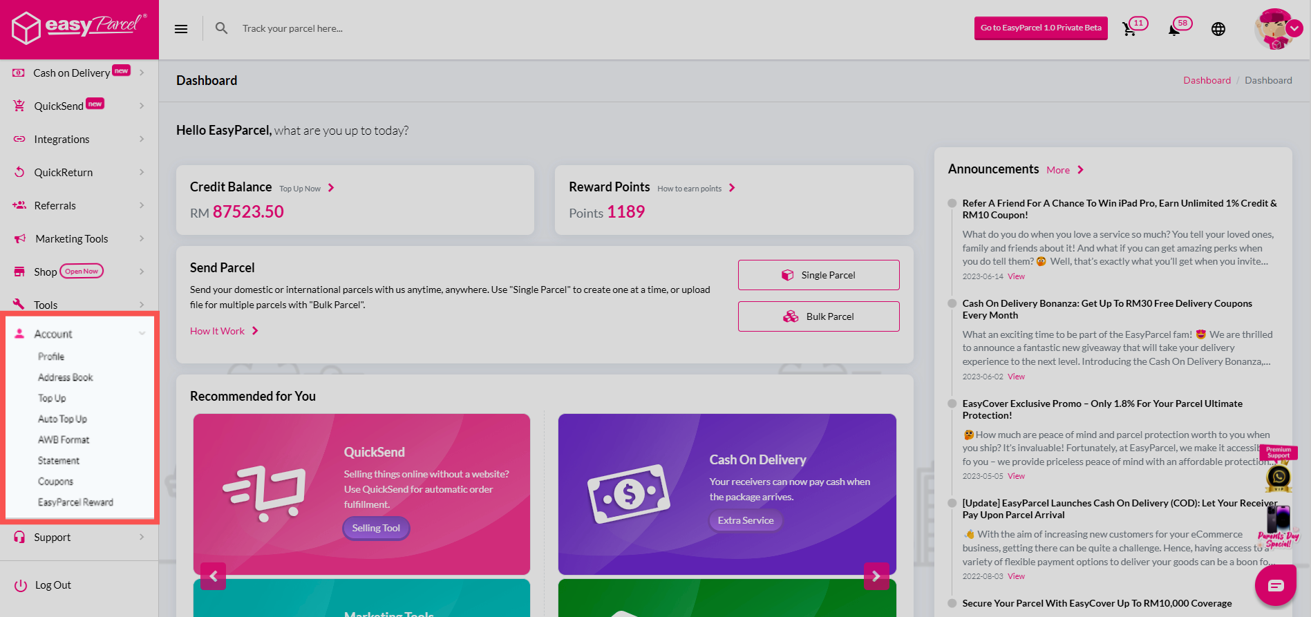 Dashboard menu showing Account and Coupons navigation option