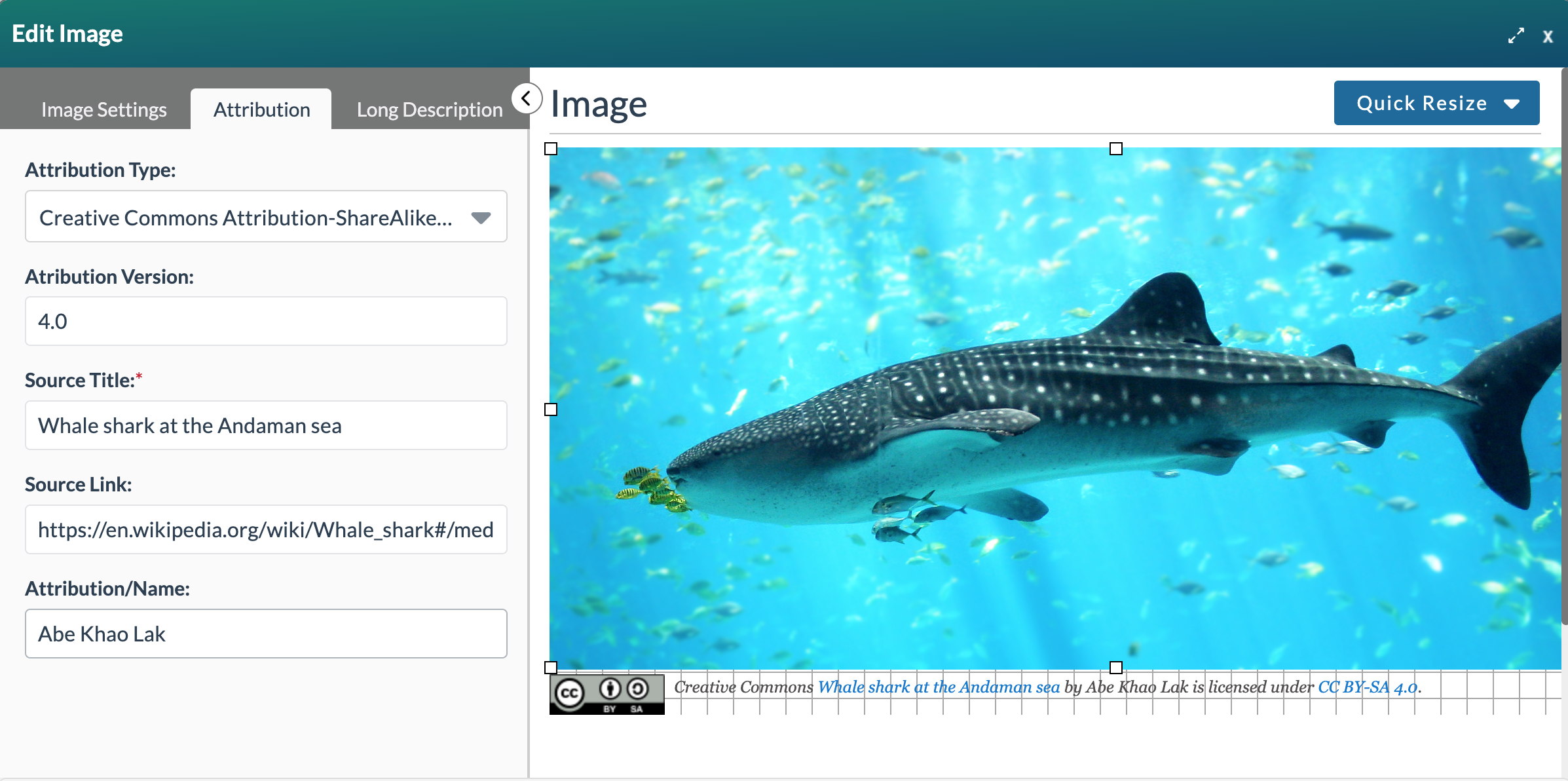 Edit Image form with the Attribution tab selected