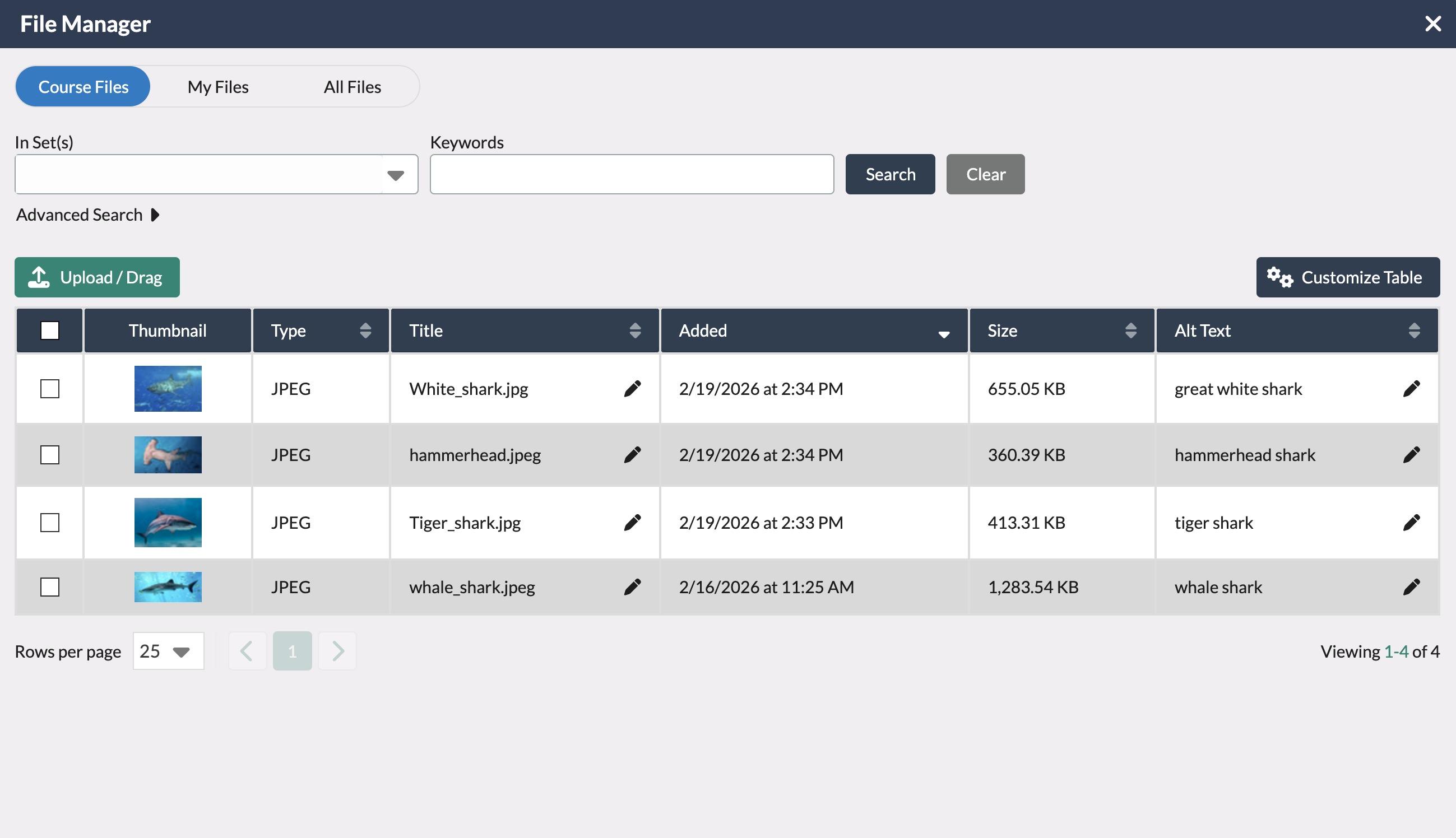 File Manager view with multiple shark images available