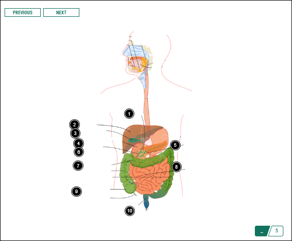Image Labeling activity in pinpoint view