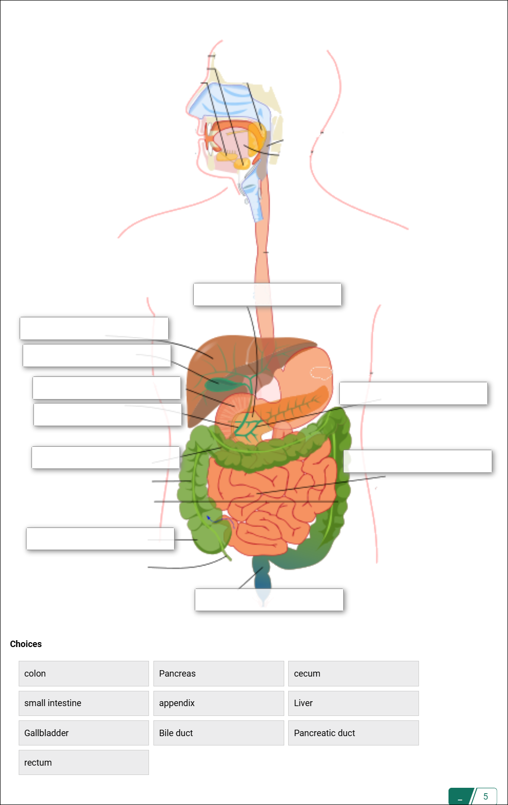 Image Labeling block in Classic view