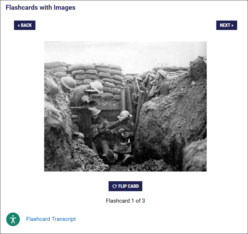 Published Flashcards with Images block, with image only on front