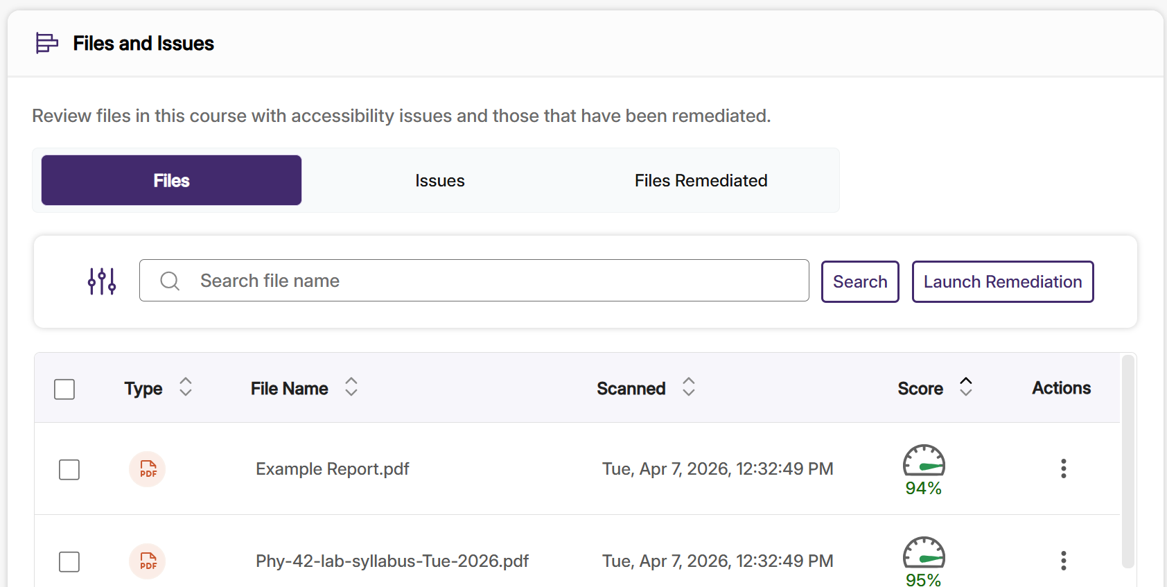 The Files and Issues browser lists files visible to Panorama and their accessibility scores in a sortable column. Additional controls to view the table of Issues and Remediations is at the top.