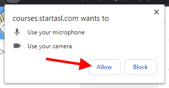 Click Allow when your browser asks for camera and microphone permissions.