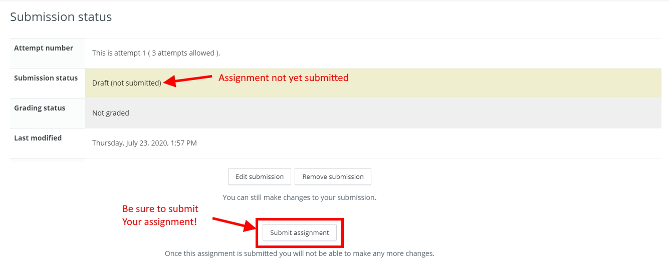 Submit assignment