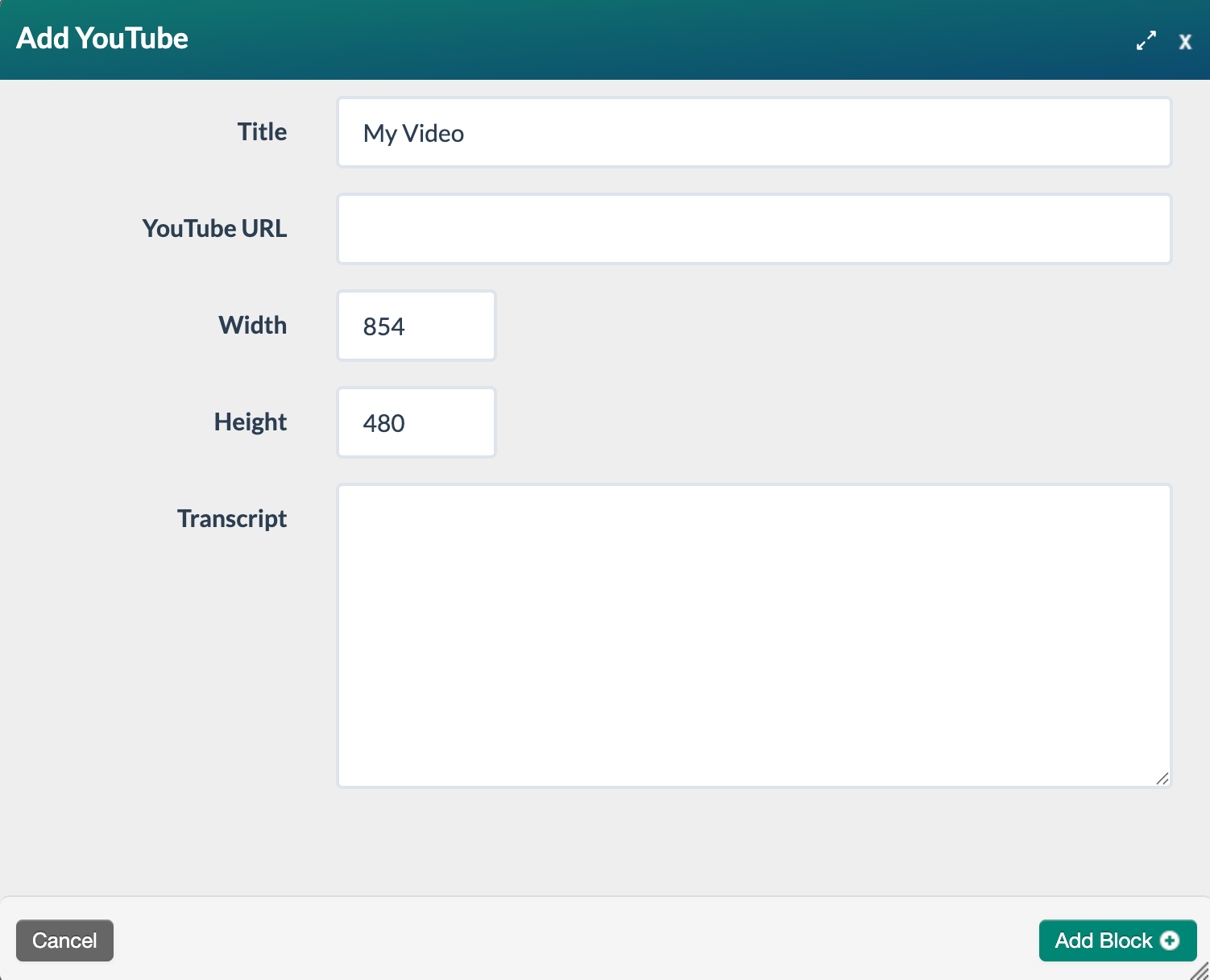 blank Add Youtube form