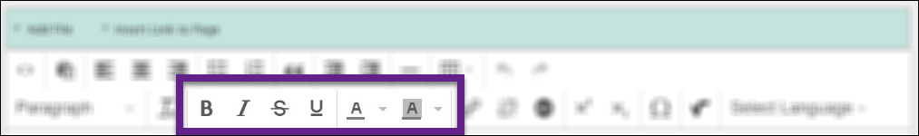 Text formatting options