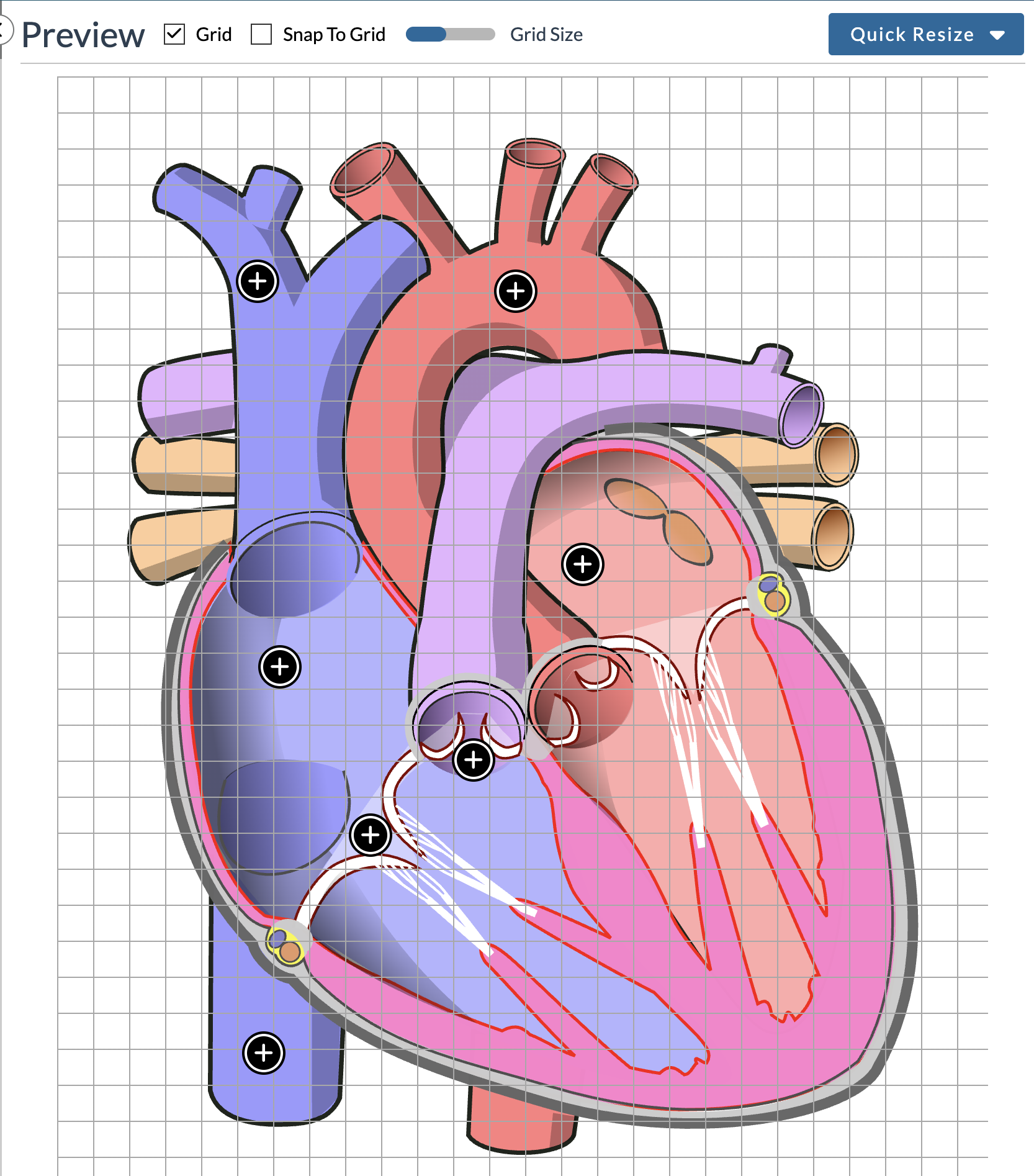 sample image with a grid