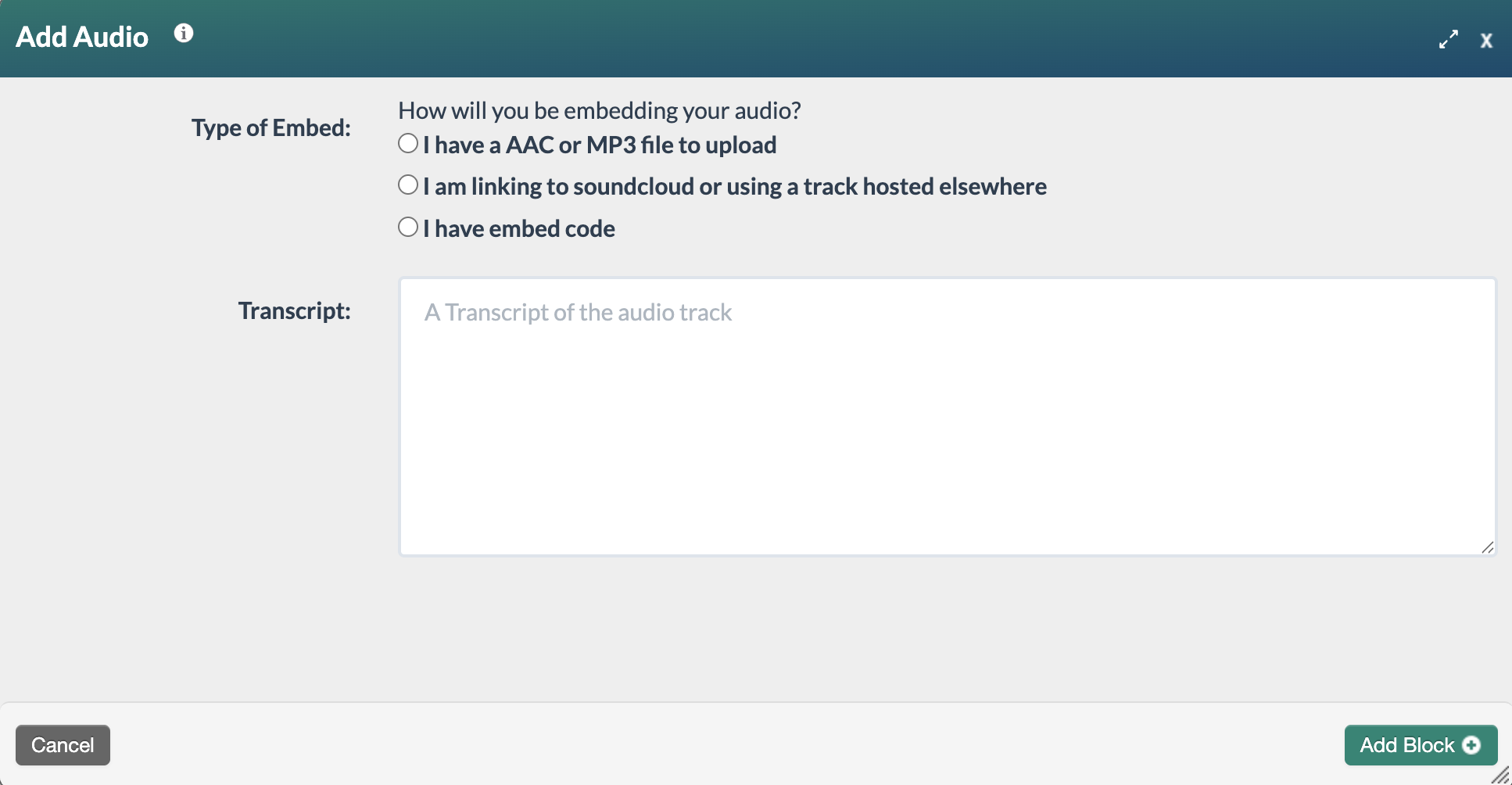 screenshot of a blank Add Audio form