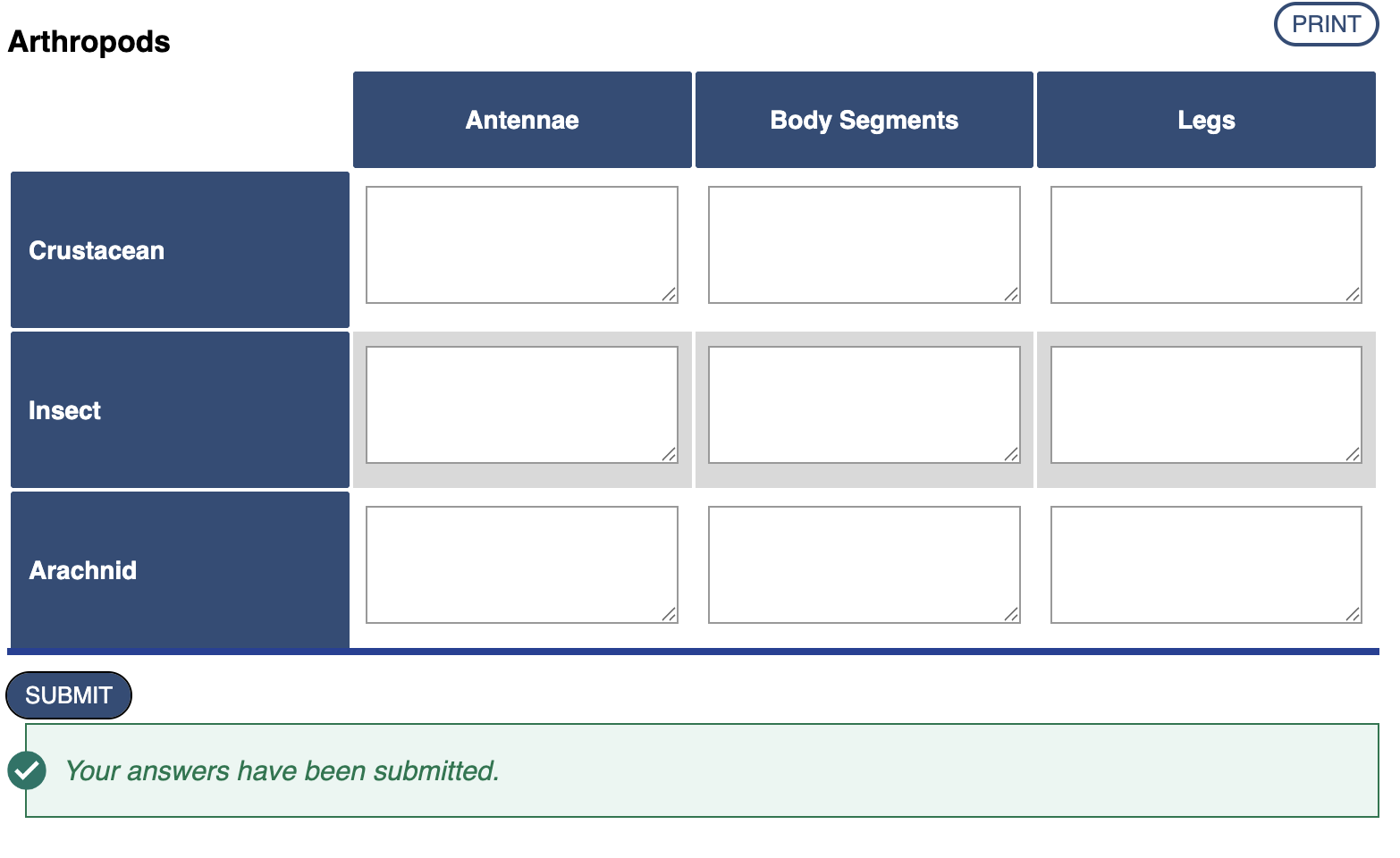 submitted graphic organizer
