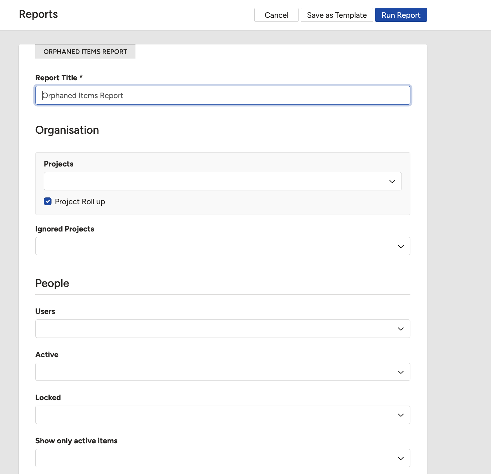 Entering a report title for the Filtered Orphaned Items Report in Clew.
