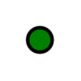 A green circle with a black background

Description automatically generated with low confidence