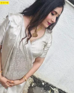 Silver Zari Banarasi Tissue Soft Silk Saree (One Side Big, One Side Small)