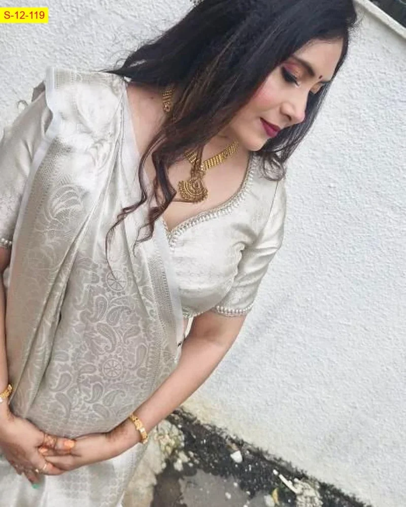 Silver Zari Banarasi Tissue Soft Silk Saree (One Side Big, One Side Small) - Image 4