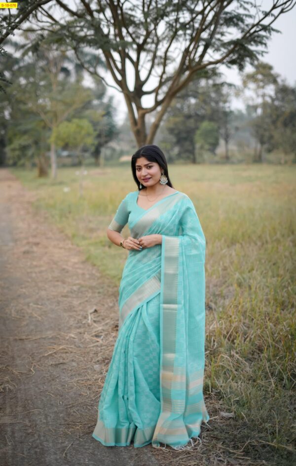 Kalyani Soft Silk Saree with Zari Detailing(Sky Blue)