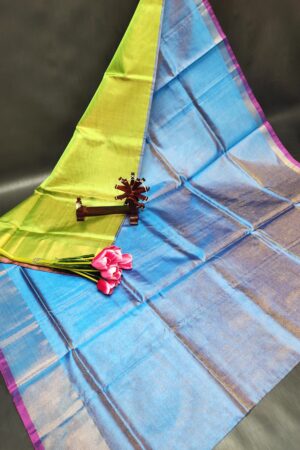 Uppada Pattu Tissue Saree(Sky Blue-Green Border)