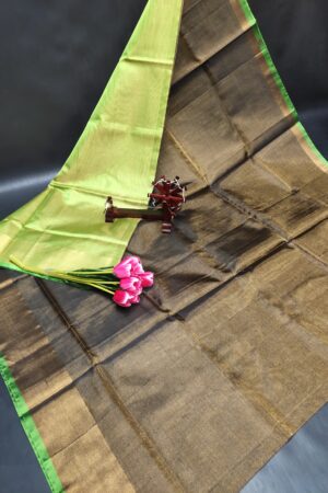 Uppada Pattu Tissue Saree(Grey-Green Border)