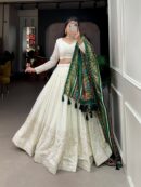 Elegant Lucknowi Paper Mirror Work Lehenga Choli Set(Green)